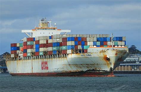 rantanplan vessel|RANTANPLAN, Container Ship